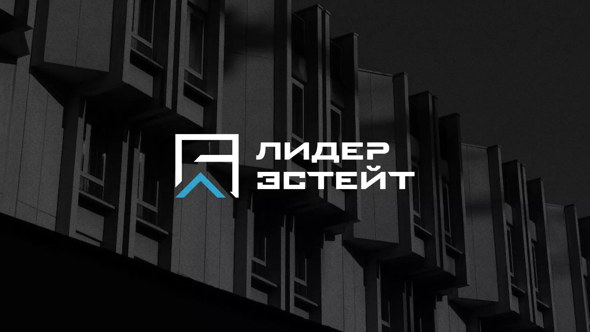 Разработка логотипа агентства недвижимости «Лидер Эстейт» в Кемерово